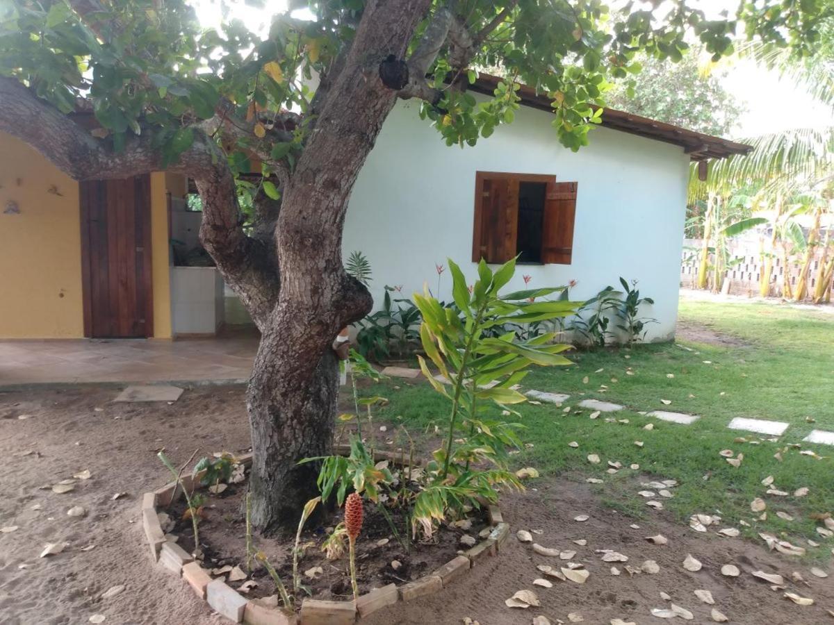 Sitio Das Amelias Villa Jericoacoara Eksteriør billede