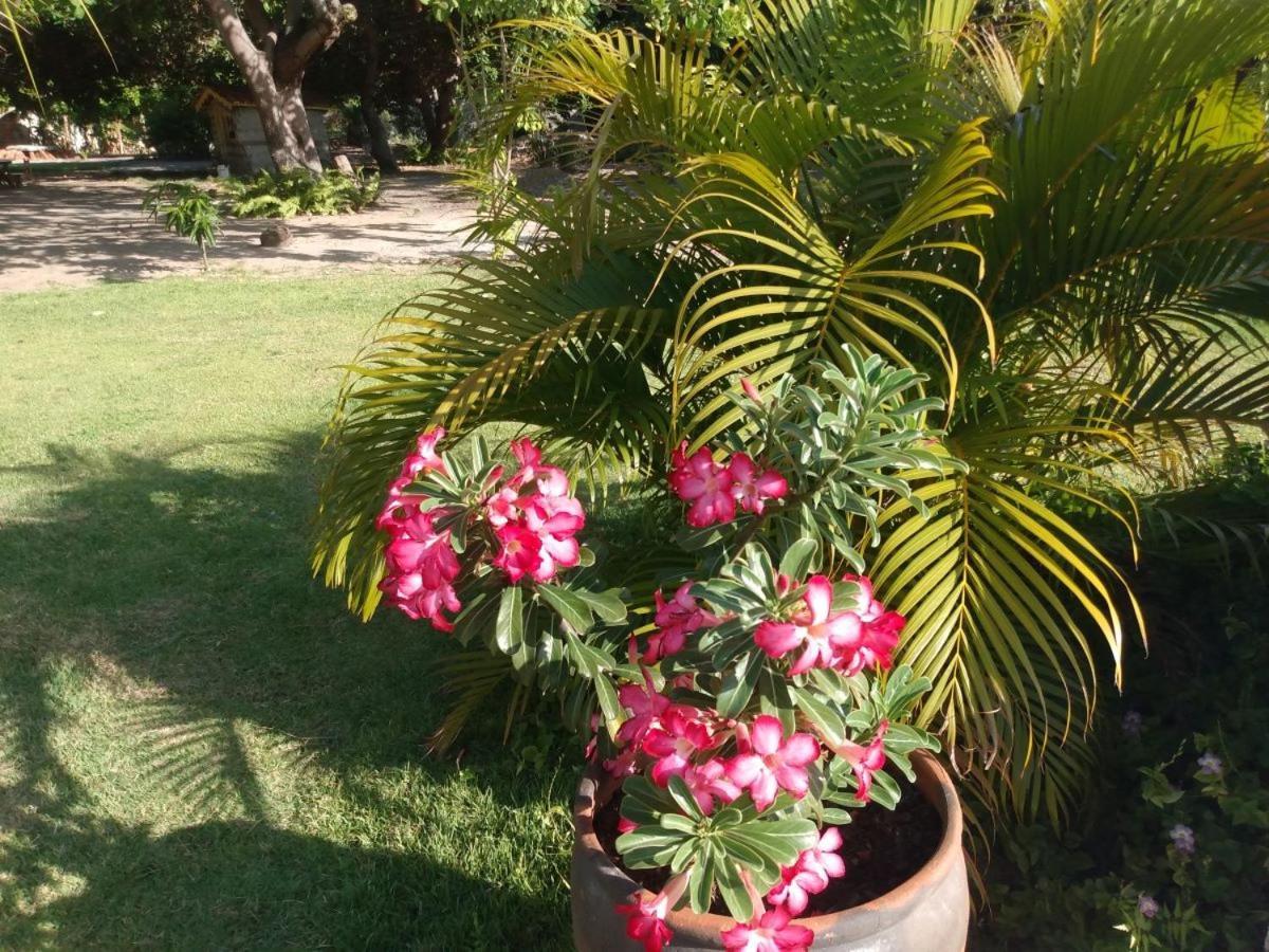 Sitio Das Amelias Villa Jericoacoara Eksteriør billede